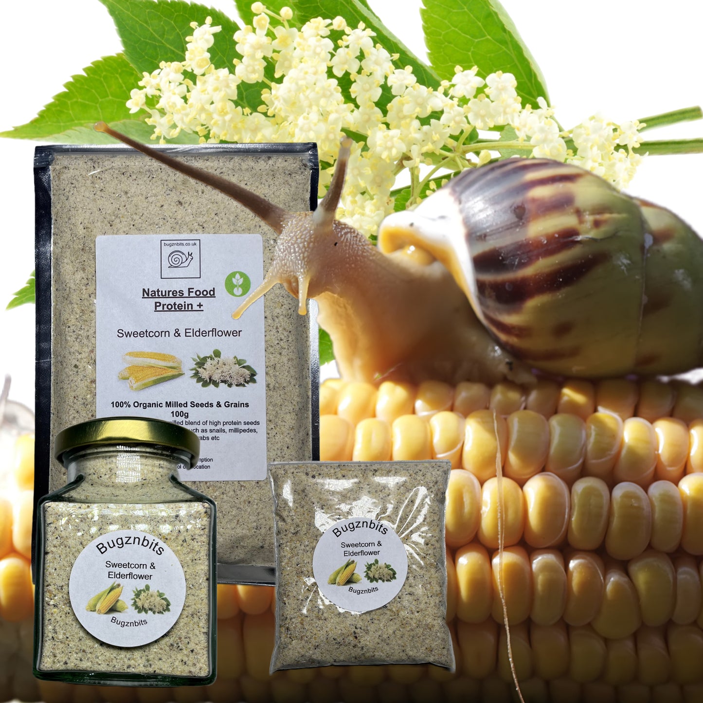 Premium Giant African Land Snail Food