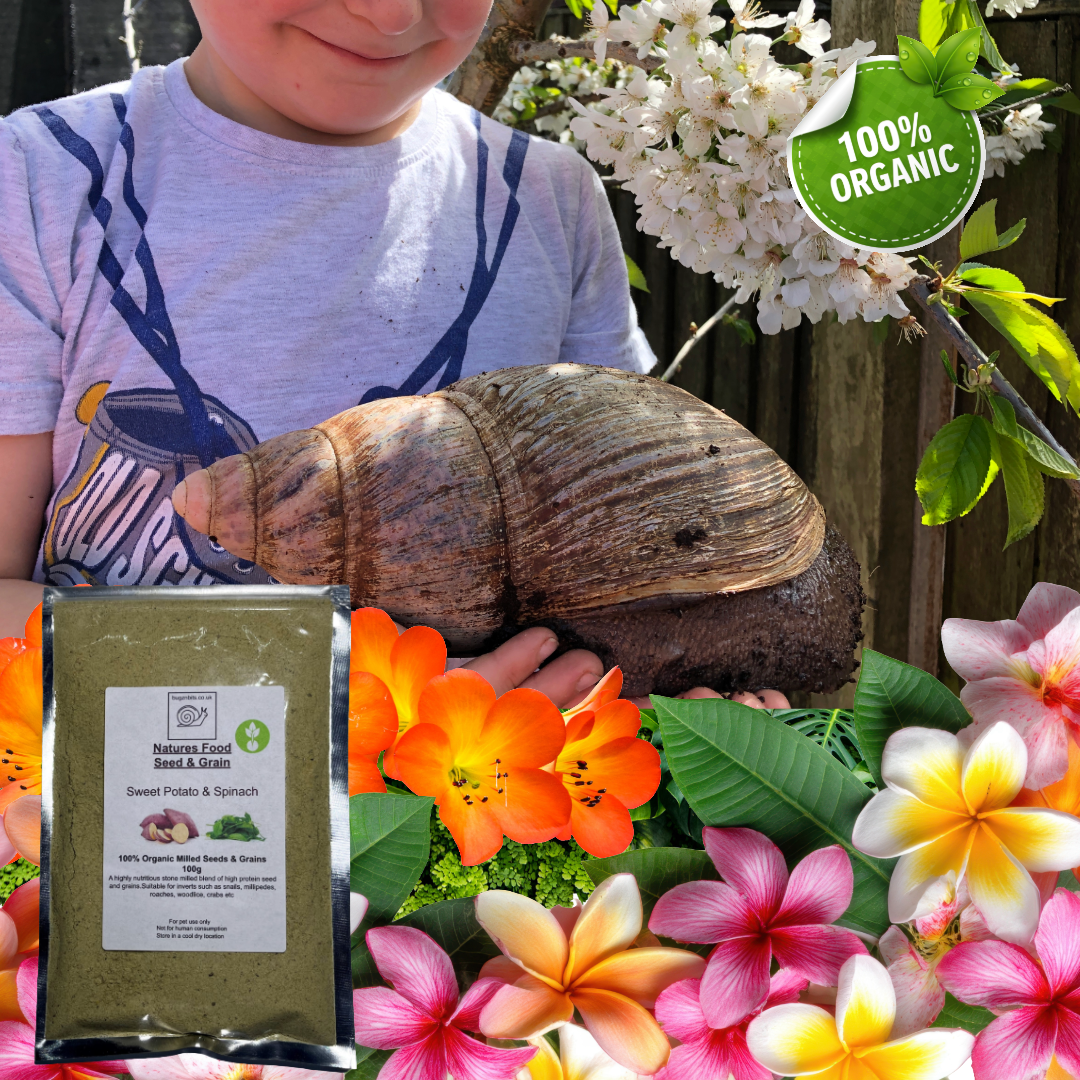 Natures Food Organic Snail Food TWIN 100g REFILL Pack  – Choose 100g packs
