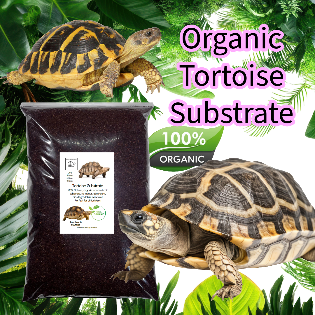Tortoise Substrate, Fully Prepared & Ready to Use