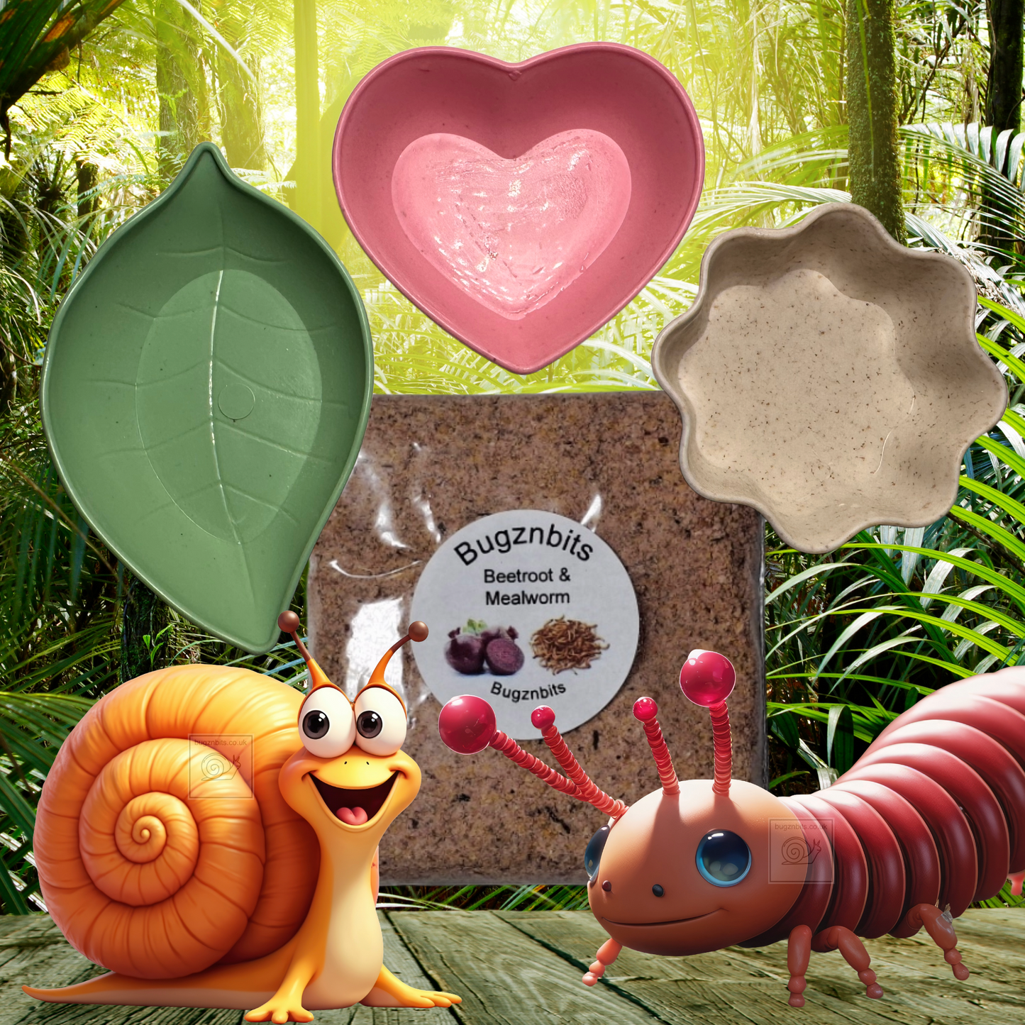 Triple Bowl Pack with Free Organic Snail Food Sample 30g