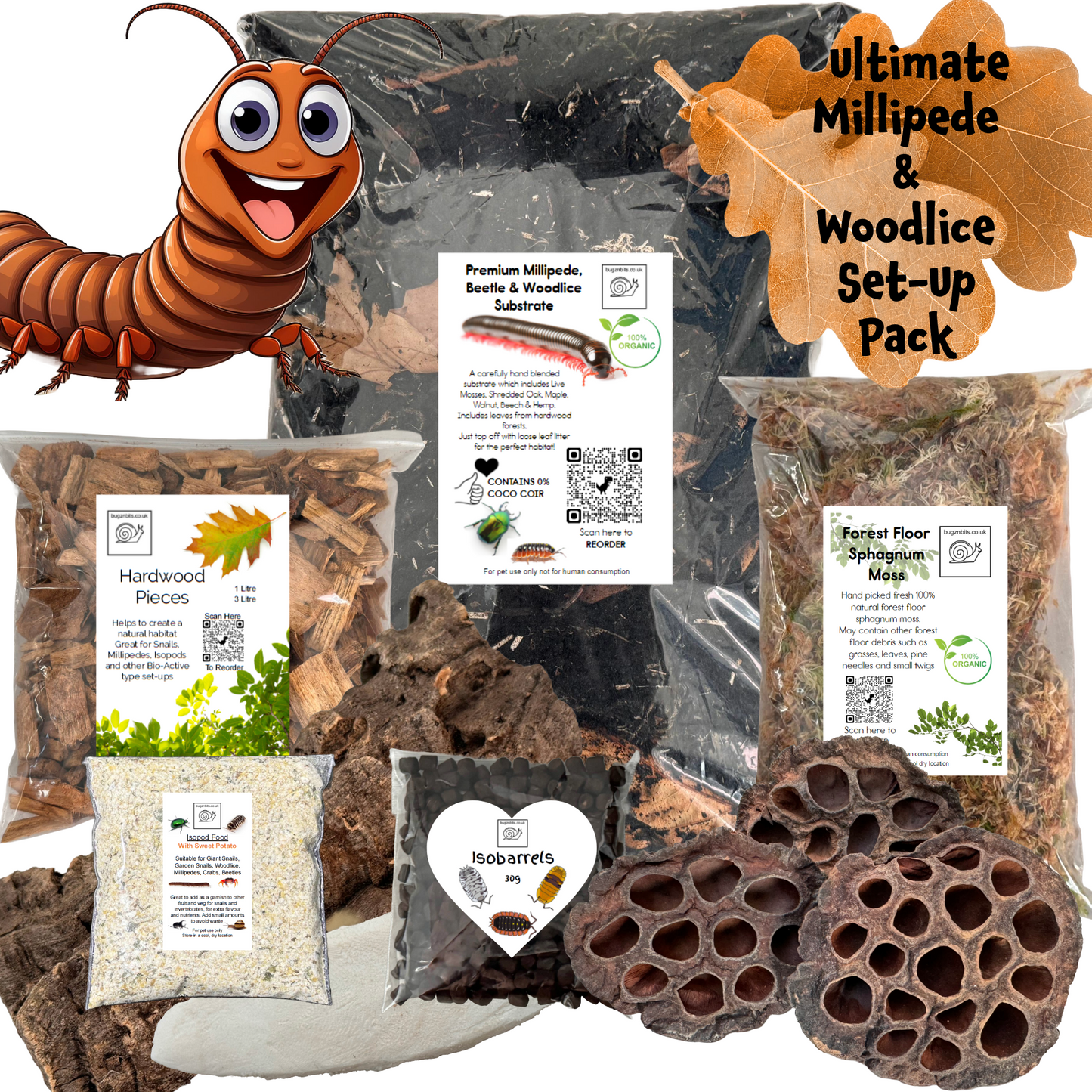The Ultimate Millipede & Woodlice Set-Up Pack
