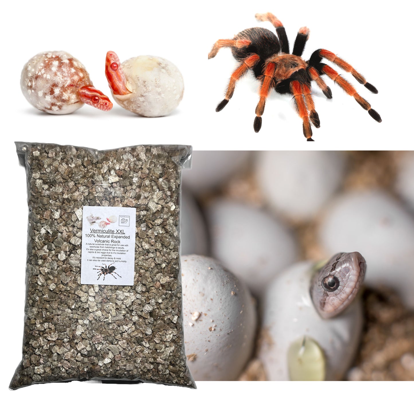 Golden Vermiculite XXL Grade