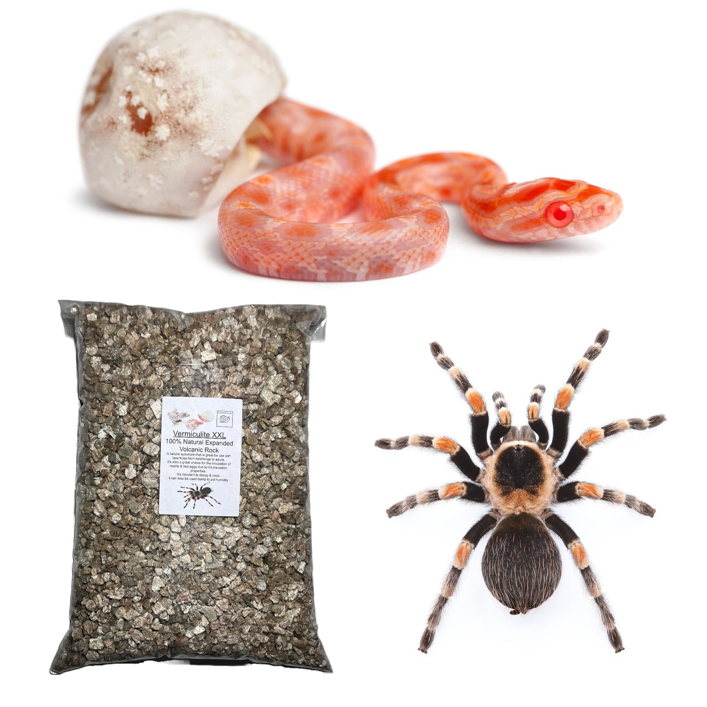 Golden Vermiculite XXL Grade