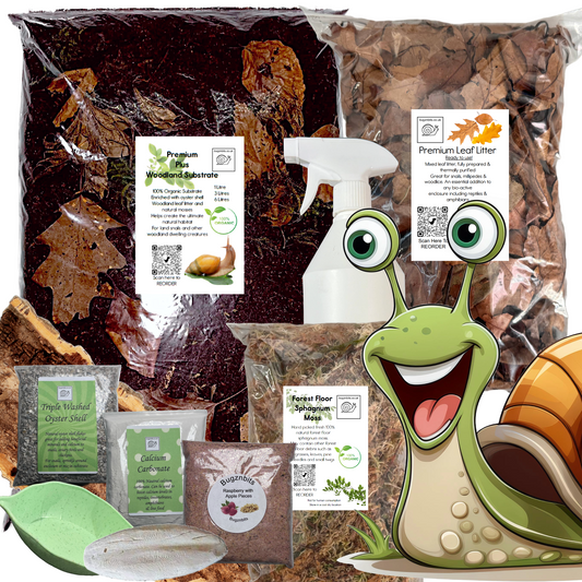 Woodland Substrate, Land Snail Set-Up Pack 10 Item Pack