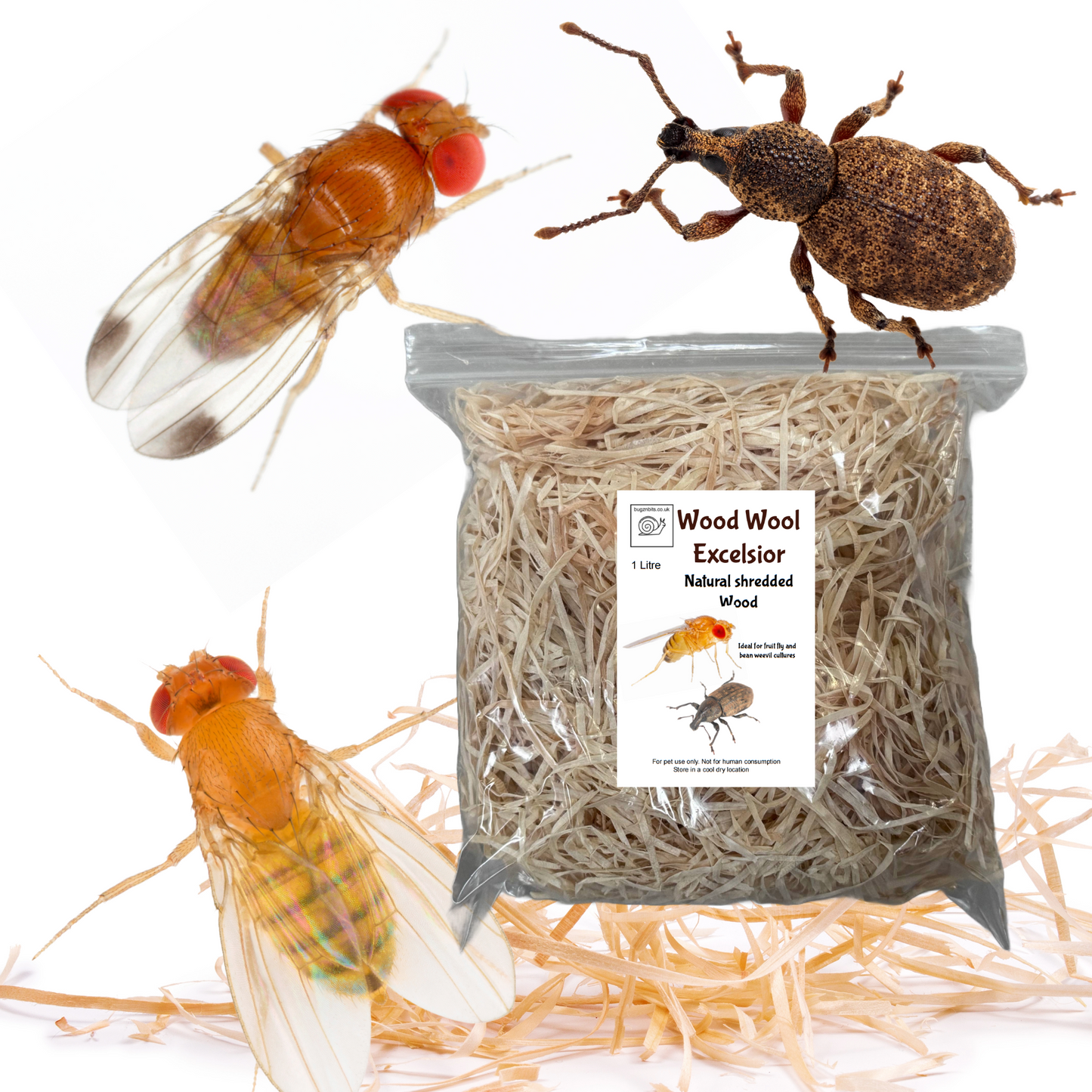 Wood Wool Excelsior, Fruit Fly & Bean Weevil for Breeding Insect Cultures